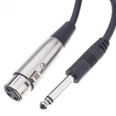 XLR Female to 1/4 Inch Mono Male Audio Cable, 10 foot
