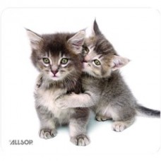 Mouse Pad, Kittens