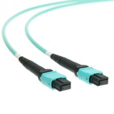 Plenum Fiber Optic Cable, MTP / MTP (MPO), Multimode, Duplex, 24 Strand, 100 Gbps, 50/125, 3 meter (10 foot)